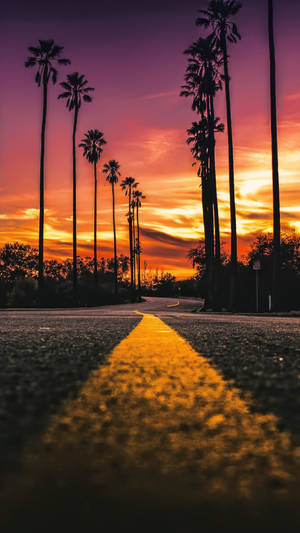 Fondo de pantalla Retrato de la carretera Sunset Boulevard
