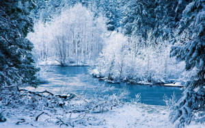 Fondo de pantalla de ribera blanca de invierno