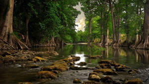 Fondo de pantalla de río de bosque rocoso