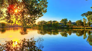 Fondo de pantalla de Río y Árboles Naturales