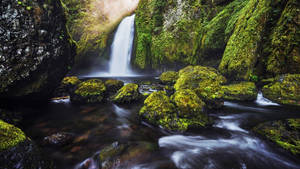 Rocas Musgosas en 4K Naturaleza — Naturaleza 4K Fondos de pantalla