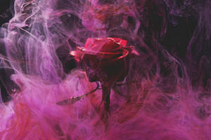 Rosa de Humo Púrpura Estética — Estética rosa Fondos de pantalla