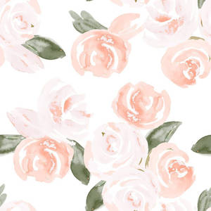 Rosas Acuarela Rosa Estética Boho