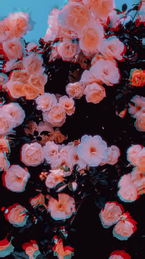 Rosas Estética Psicodélica