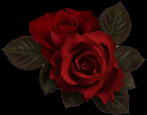 Imagen - Estética de Flores Rojas Png, Png Transparente