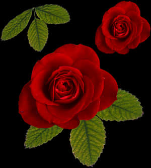 Archivo PNG de rosa - Rosa y hoja PNG, PNG transparente — Rosa Fondos de pantalla