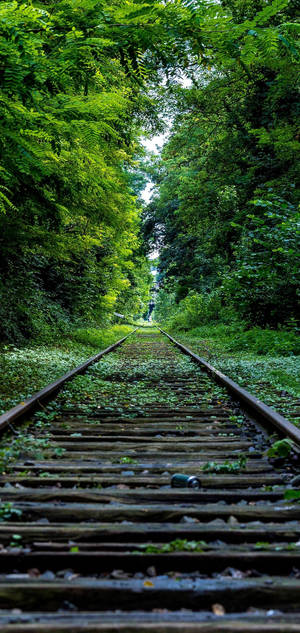 Fondo de pantalla S10 vía de tren árboles verdes