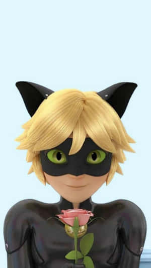 Imágenes de Cat Noir — Cat Noir Fondos de pantalla