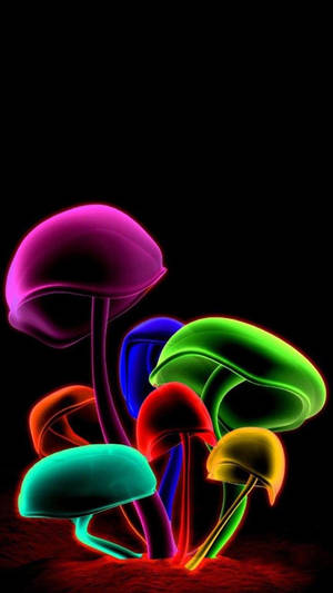 Samsung M21 Hongos Arcoíris — Samsung galaxy Fondos de pantalla