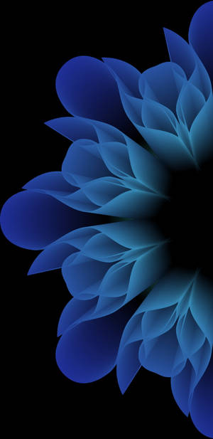Samsung Note 20 Flor