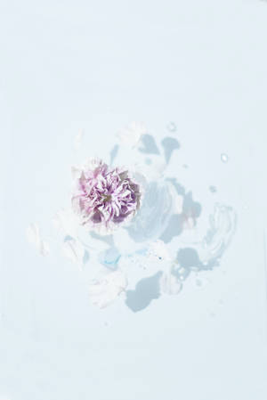 Samsung S20 Ultra Flor Rosada