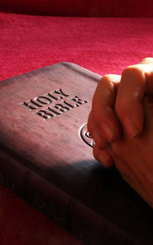 Santa Biblia Católica — Versículo bíblico estético Fondos de pantalla