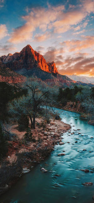 Sección Zion Narrows del Parque Nacional Zion — Naturaleza iPhone Fondos de pantalla