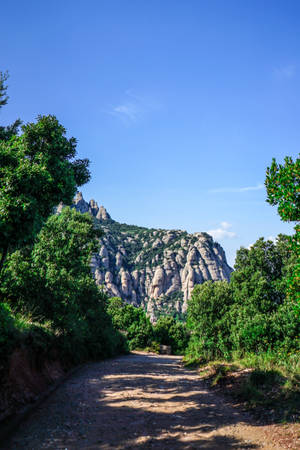 Sendero del bosque de Montserrat — Bosque Fondos de pantalla
