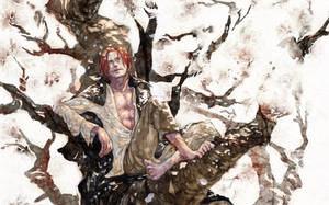 Sentado en un Árbol Shanks One Piece — One piece 4K GIF Fondos de pantalla
