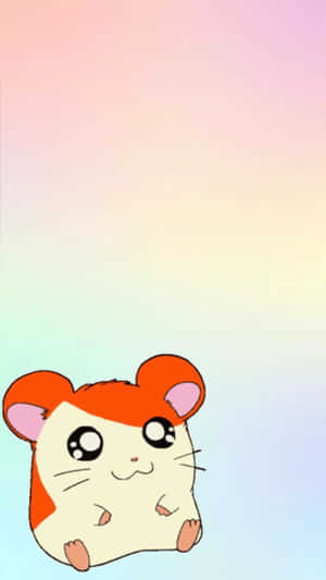 Hámster — Manga GIF Fondos de pantalla