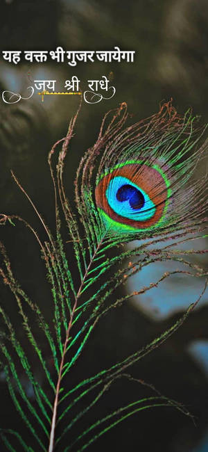 Shree Ram Pluma De Pavo Real — Galaxy Note Fondos de pantalla