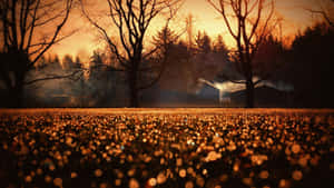Fondo estético de otoño — Estética otoño Fondos de pantalla