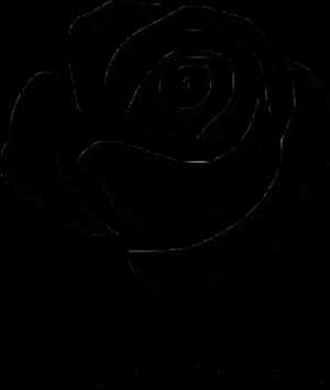 Contorno de una flor de rosa, descarga HD PNG — Rosa Fondos de pantalla