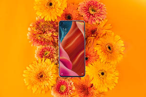 Smartphone Oppo y Flora Floreciente