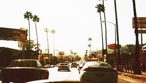Fondo de pantalla Sol Cegador en Sunset Boulevard
