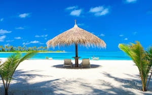 Sombra de Playa Tropical Única para Escritorio