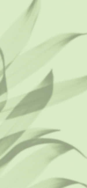 Fondo verde claro — ZTE Blade V80 Pro Fondos de pantalla