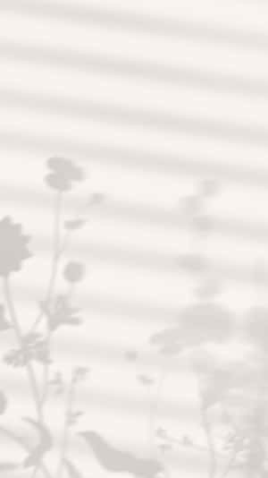 Imágenes estéticas — Estético minimalista GIF Fondos de pantalla