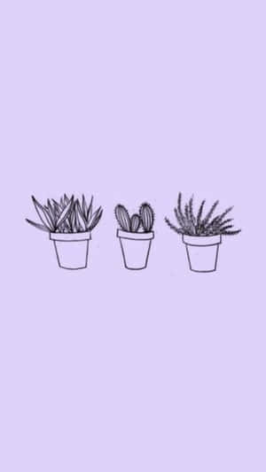 Fondo Estético Lavanda Púrpura Pastel — Estética lavanda Fondos de pantalla