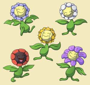 Sunflora con otras variantes de flores — Flores Fondos de pantalla