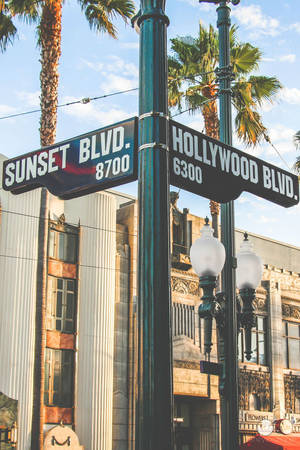 Fondo de pantalla de Sunset Boulevard y Hollywood Boulevard