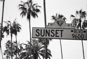 Fondo de pantalla Sunset Boulevard Blanco y Negro