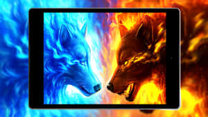 Super Cool Wolf — Lobo Fondos de pantalla