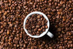 Taza blanca llena de granos de café