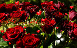 Te Amo Mucho con Rosas