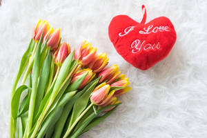 Te Amo Mucho Corazón con Tulipanes