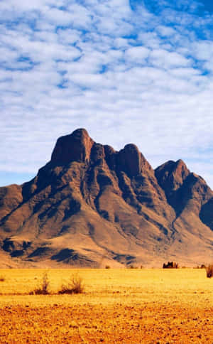 Teléfono africano — Galaxy Tab Active Fondos de pantalla