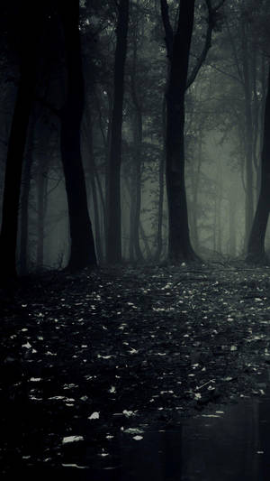Teléfono oscuro bosque tenebroso — Teléfono oscuro Fondos de pantalla