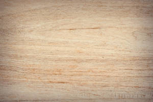 Textura de Pared de Madera — Estética café Fondos de pantalla