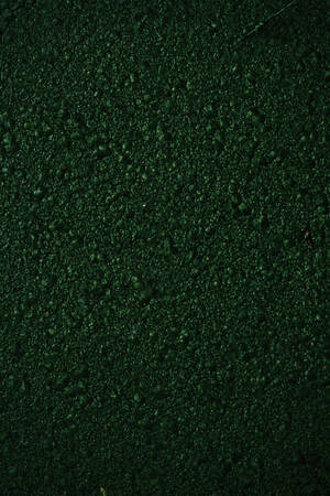 Textura verde de musgo rugoso — Estética verde GIF Fondos de pantalla
