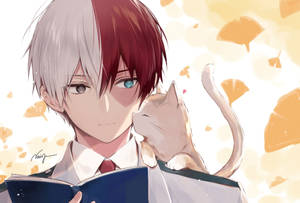 Fondo de pantalla de Todokori Tierno con un Gato — Todoroki lindo Fondos de pantalla