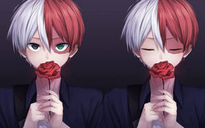 Todoroki lindo sosteniendo una rosa roja fondo de pantalla — Todoroki lindo Fondos de pantalla