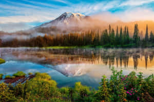 Hermoso fondo de naturaleza