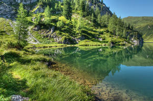 Montaña verde con árboles coníferos y lago limpio.