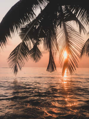 Fondo de Atardecer en la Playa — Atardecer en la playa Fondos de pantalla