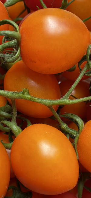 Fondo de pantalla de Tomates Naranjas Frescos — iPhone 15 Pro Fondos de pantalla