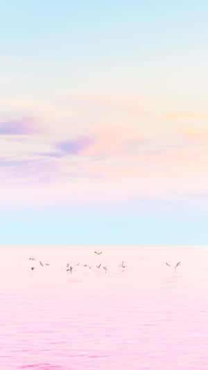 Fondo Rosa Pastel — Rosa pastel Fondos de pantalla