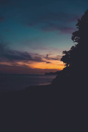 Atardecer oscuro con sombra negra de árboles en la playa.