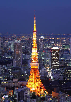 Torre de Tokio contra la Metrópolis de Tokio — Japón GIF Fondos de pantalla