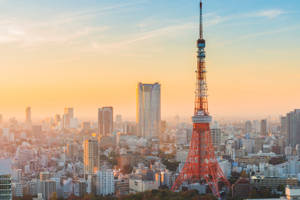 Torre de Tokio durante el día — Japón GIF Fondos de pantalla